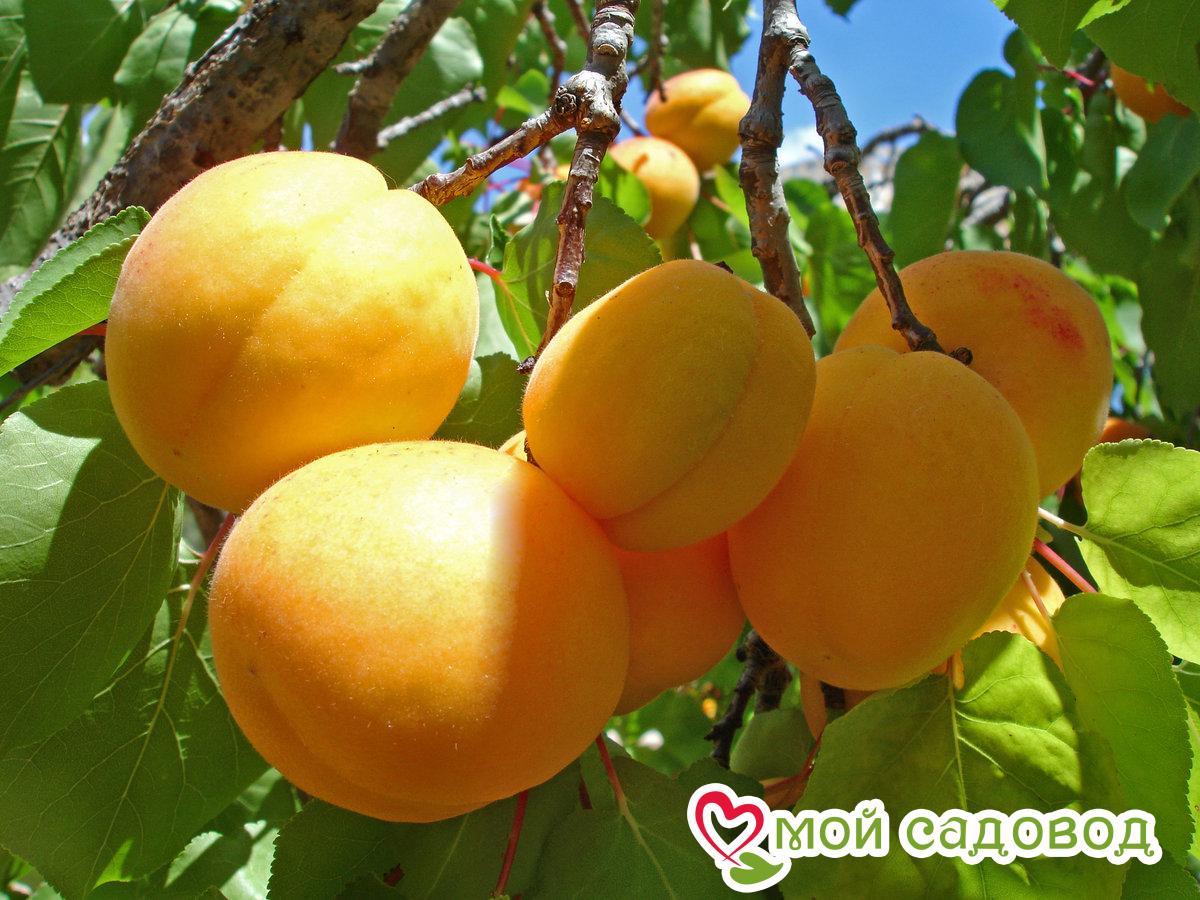 Выбор места для посадки